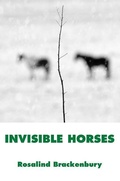 Cover: Invisible Horses - Hanging Loose Press