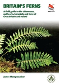 Cover: Ferns - Princeton University Press
