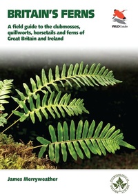 Abbildung von: Ferns - Princeton University Press