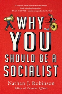 Abbildung von: Why You Should Be a Socialist - All Points Books