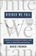 Cover: Divided We Fall - St. Martin's Press