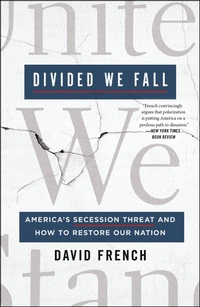Enlarge image Cover: Divided We Fall - St. Martin's Press