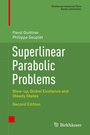 Cover: Superlinear Parabolic Problems - Birkhäuser