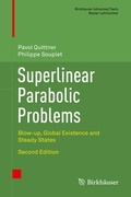 Cover: Superlinear Parabolic Problems - Birkh&auml;user