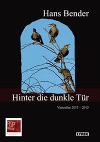 Enlarge image Cover: Hinter die dunkle Tür - Pop, Traian