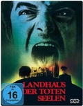 Cover: Landhaus der toten Seelen - NSM Records