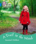 Cover: A Trail in the Woods - Collins