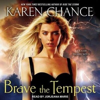 Enlarge image Cover: Brave the Tempest - Tantor Audio