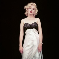 Enlarge image Cover: The Essential Marilyn Monroe - ACC Art Books