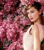 Cover: Always Audrey - ACC Art Books