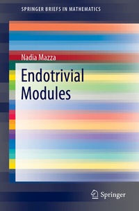 Abbildung von: Endotrivial Modules - Springer