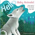 Cover: Hello Baby Animals - Brolly Books