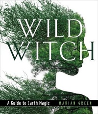 Bild: Wild Witch - Weiser Books