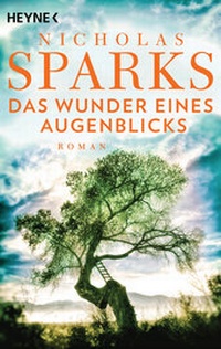 Abbildung von: Das Wunder eines Augenblicks - Heyne