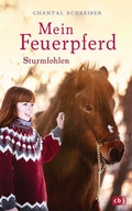 Cover: Mein Feuerpferd - Sturmfohlen - cbj