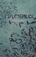 Cover: SplitterBlick - BoD - Books on Demand