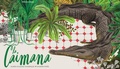 Cover: La Caimana - Ekare Europa