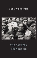 Cover: The Country Between Us - Bloodaxe Books Ltd