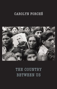 Enlarge image Cover: The Country Between Us - Bloodaxe Books Ltd