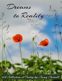 Enlarge image Cover: Dreams to Reality - Lulu.com