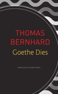 Enlarge image Cover: Goethe Dies - Seagull Books London Ltd