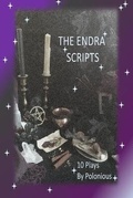 Cover: The Endra Scripts - Ei Alliance