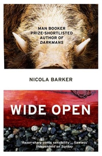 Enlarge image Cover: Wide Open - Fourth Estate Ltd