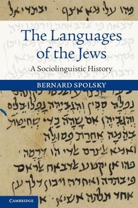 Enlarge image Cover: The Languages of the Jews - Cambridge University Press