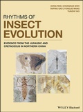 Bild: Rhythms of Insect Evolution - Wiley