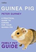 Cover: Guinea Pig - Collins