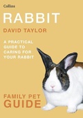 Cover: Rabbit - Collins