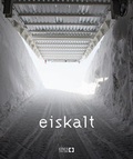 Cover: Eiskalt - ERES-Stiftung