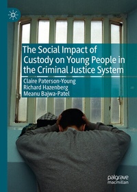 Abbildung von: The Social Impact of Custody on Young People in the Criminal Justice System - Palgrave Macmillan