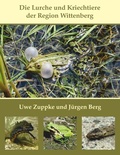 Cover: Die Lurche und Kriechtiere der Region Wittenberg - BoD - Books on Demand