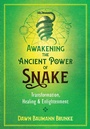 Cover: Awakening the Ancient Power of Snake - Bear & Company