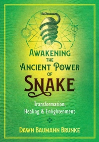 Enlarge image Cover: Awakening the Ancient Power of Snake - Bear & Company
