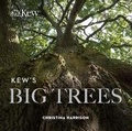 Cover: Kew's Big Trees - Kew Publishing
