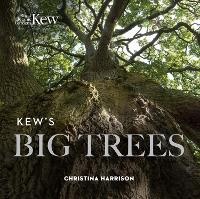 Enlarge image Cover: Kew's Big Trees - Kew Publishing