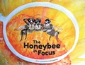 Cover: The Honeybee in Focus - NORTHERN BEE BOOKS