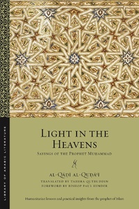 Abbildung von: Light in the Heavens - New York University Press