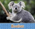 Cover: Koalas - Raintree