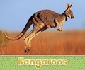 Cover: Kangaroos - Raintree