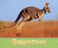 Enlarge image Cover: Kangaroos - Raintree