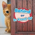 Cover: Behind or In Front Of - Raintree