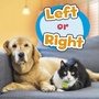 Cover: Left or Right - Raintree