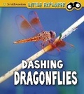 Cover: Dashing Dragonflies - Raintree