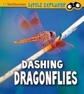 Cover: Insect Explorer Pack A of 6 - Raintree