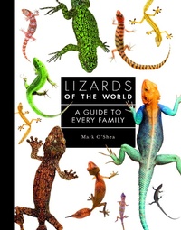 Abbildung von: Lizards of the World - Ivy Press