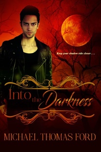 Enlarge image Cover: Into the Darkness - Kensington Books