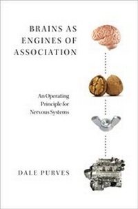 Abbildung von: Brains as Engines of Association - OUP eBook